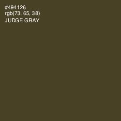 #494126 - Judge Gray Color Image
